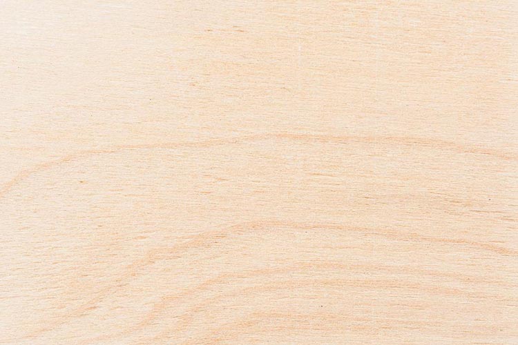 Birch Plywood - Image 3