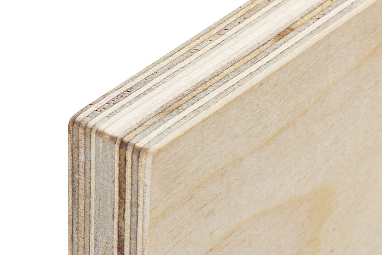 Birch Plywood - Image 2
