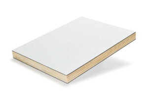 CFRT Facing Plywood Sandwich Panels